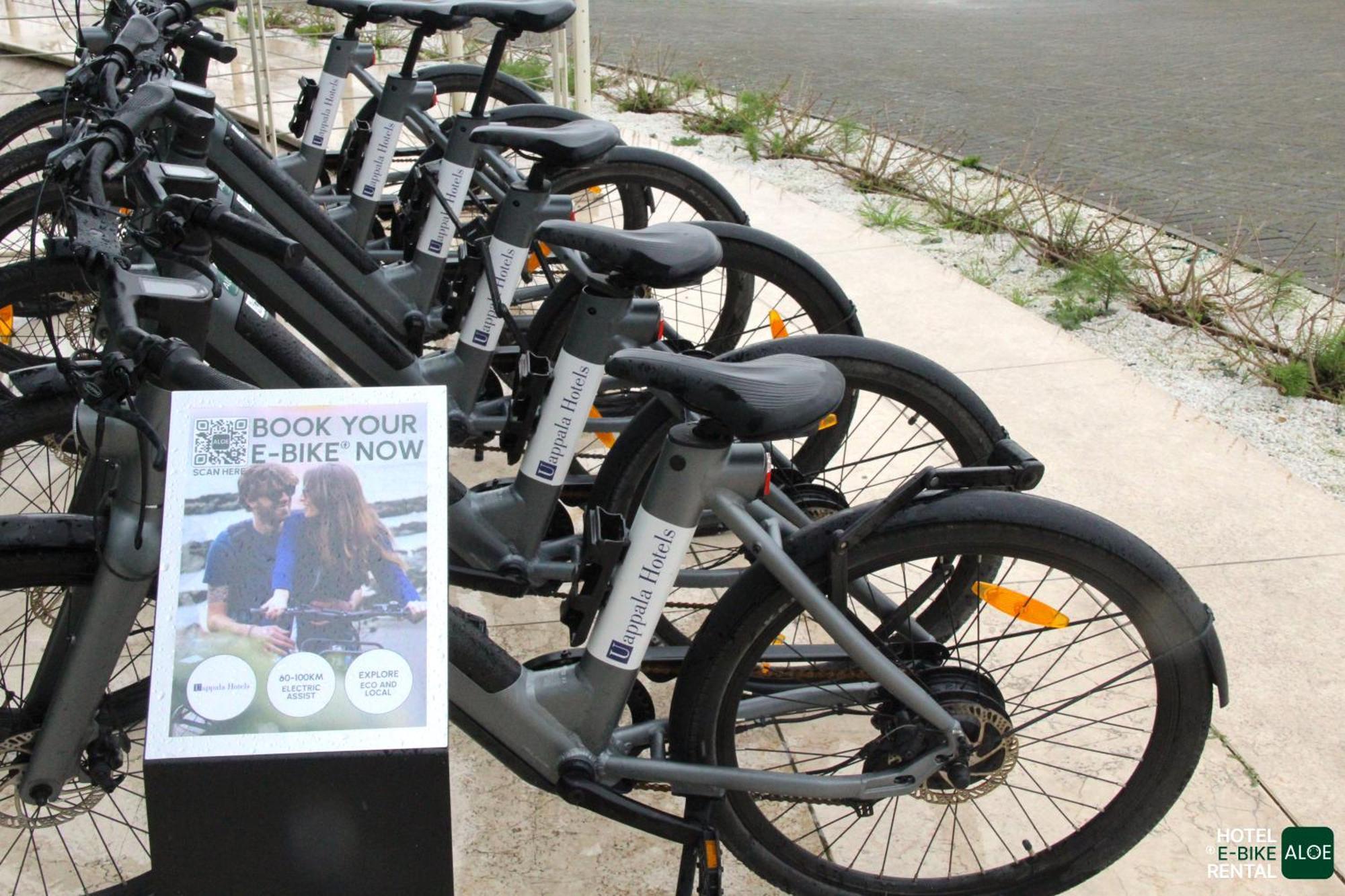 Pisa Tower Plaza酒店 外观 照片 Free bikes for students